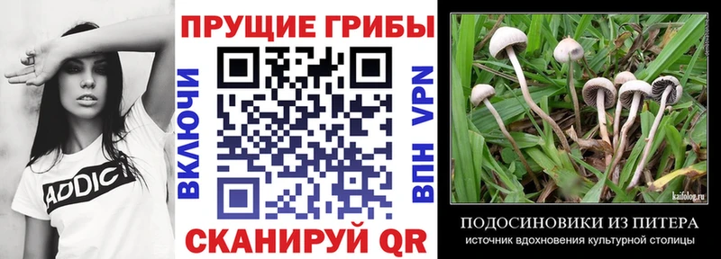 Купить закладки  Ликино-Дулёво  Галлюциногенные грибы Magic Shrooms 